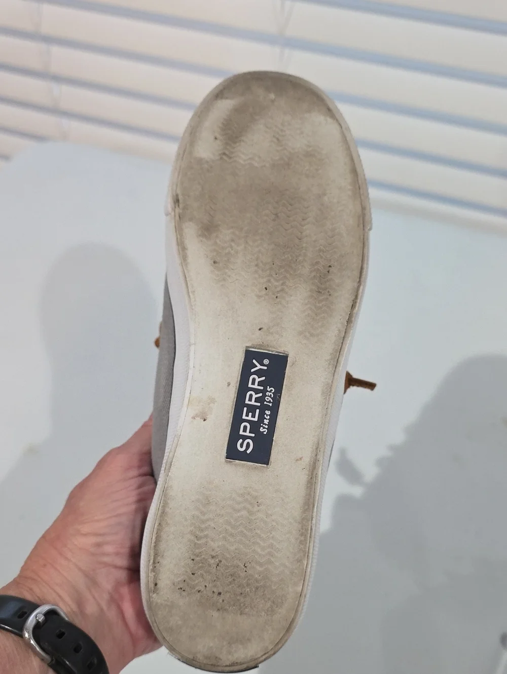Sperry Women's 6.5 Pier View Gray Canvas Sneaker with Leather Laces